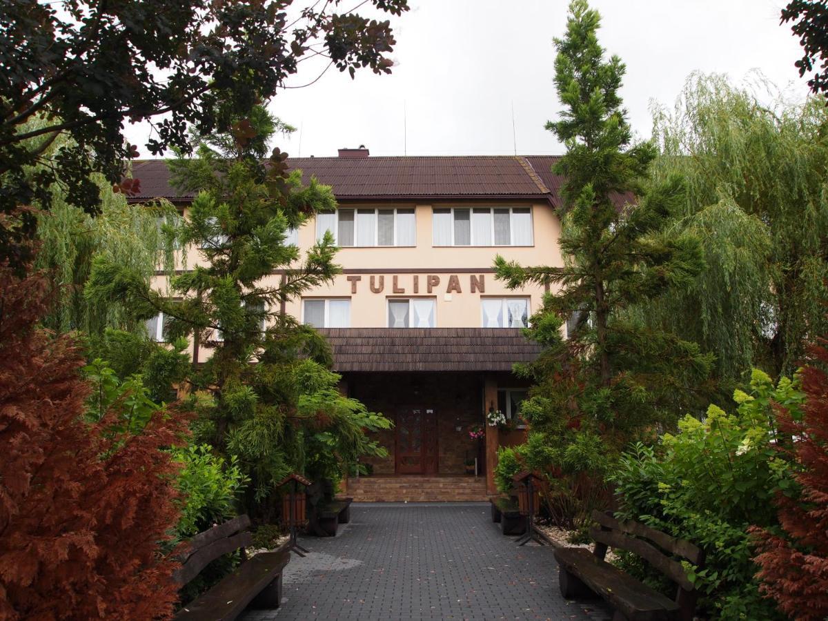 Tulipan Hotel Aquapark Vyshkove Eksteriør bilde